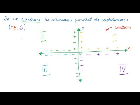 Video: De ce copacii își pierd frunzele în momente diferite?