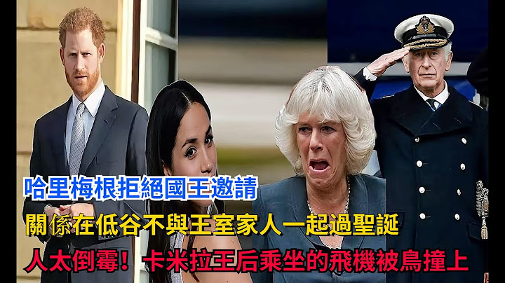 哈里梅根拒绝国王邀请，“关系在低谷”不与王室家人一起过圣诞，人太霉！卡米拉王后乘坐的飞机被鸟撞上 #英国女王 #戴安娜 #凯特王妃 #威廉王子#梅根 #查尔斯 #卡米拉 #哈里王子 - 天天要闻