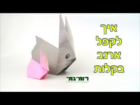 וִידֵאוֹ: איך לבשל ארנב לילדים