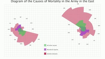 Nightingale Rose Chart Animation