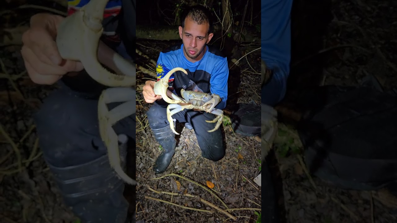pescando jueyes gigantes en puerto rico 🔥🦀🇵🇷