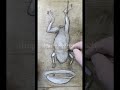 Fly out of reach of Frog: #art #grisille #vertegris #underpainting #paintingprocess #oilpainting 48m