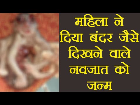 वीडियो: ज़ीनिया ने धड़कना क्यों बंद कर दिया?