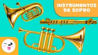 Instrumentos de sopro para crianças - Aprender música