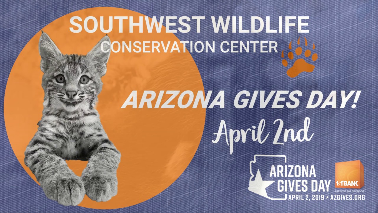 Arizona Gives Day 2019 Southwest Wildlife Conservation Center - YouTube