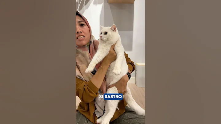 Watch the video about BSH WHITE SOLID LANGKA 😍 #shortvideo