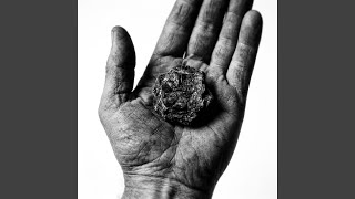 Beyond the Silver Edge (11)