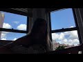 Dead Acoustic Madison Beer Cover mp3