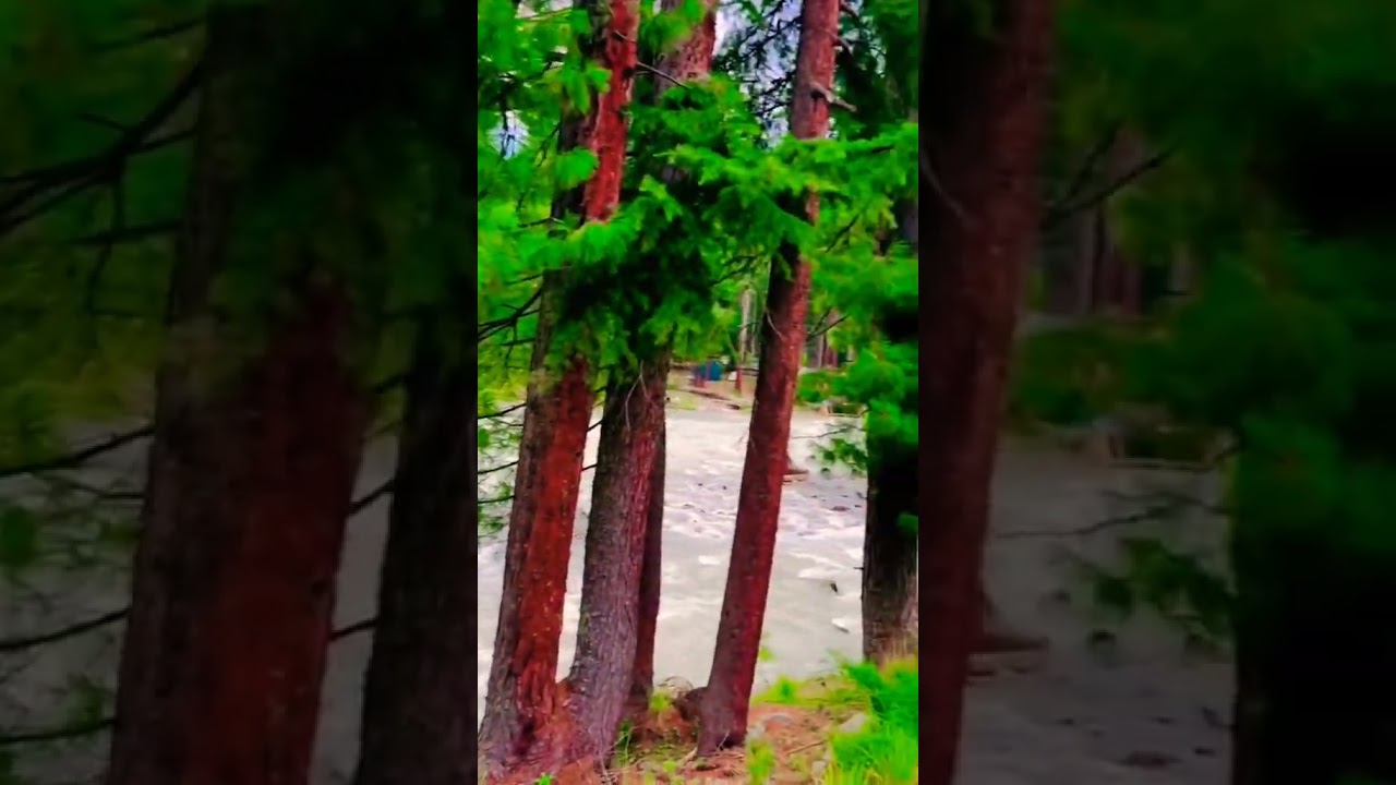 swat kumrat Valley.. pakistan... 😇😇❤️