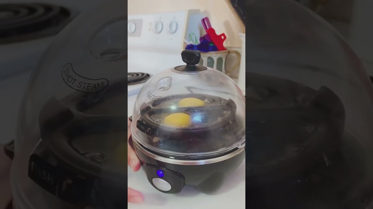 Dash go rapid egg cooker youtube discount