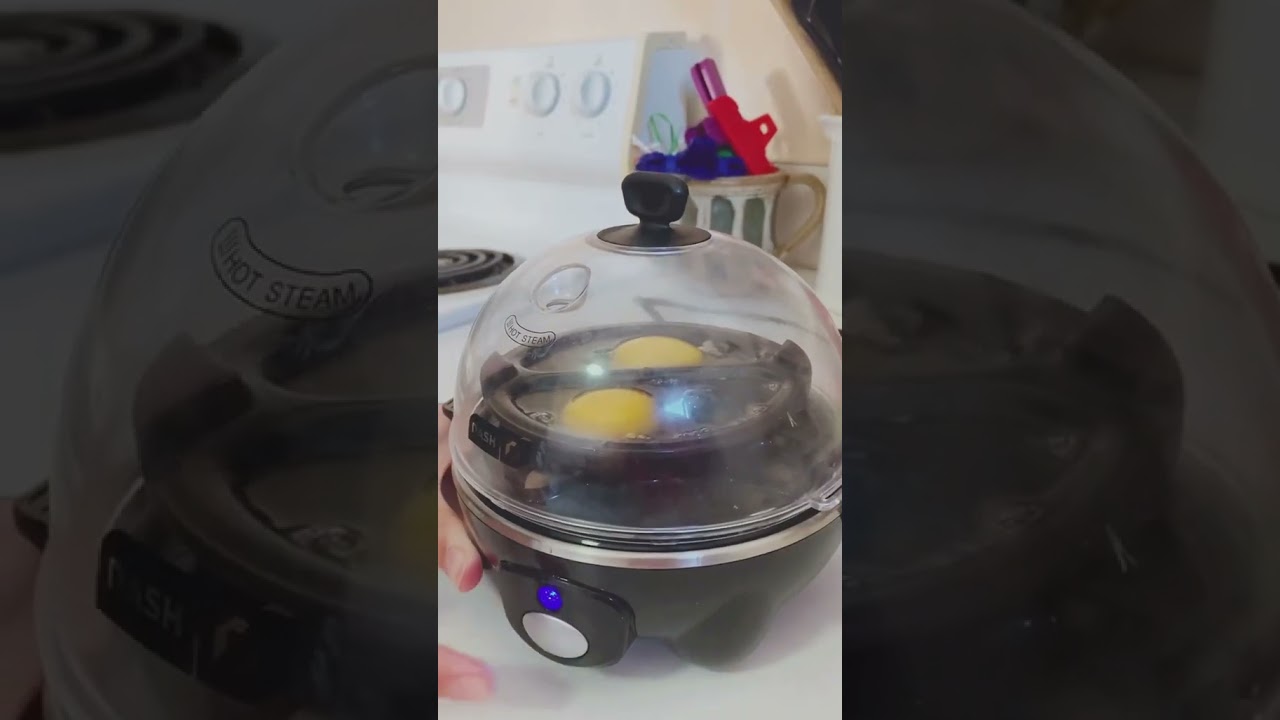 Dash Rapid Egg Cooker in Black