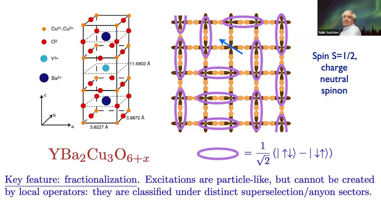 Detecting the fractionalized Fermi liquid in the cuprate superconductors, Oxford, Feb 11, 2026