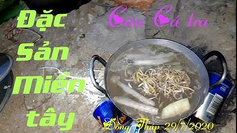 Trãi Nghiệm Một Đêm Thức Trắng Câu Cá Tra Ở Đồng Tháp | Đồng Tháp phần 1