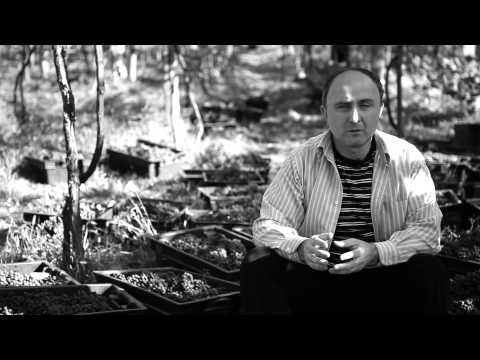 1 წუთი მაესტროზე - დურმიშხან შავიშვილი - აჭარა, ვაიო