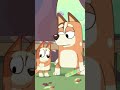 🐹🐰...#kidsvideo #funnycartoon #cartoonvideo #bluey #familycartoon #animation