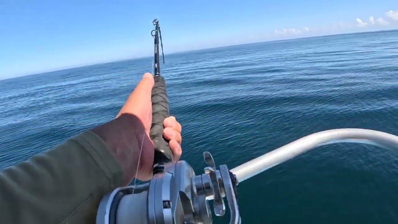 Fishing yellowtail Bahia De Los Angeles Joels sport fishing 09/25