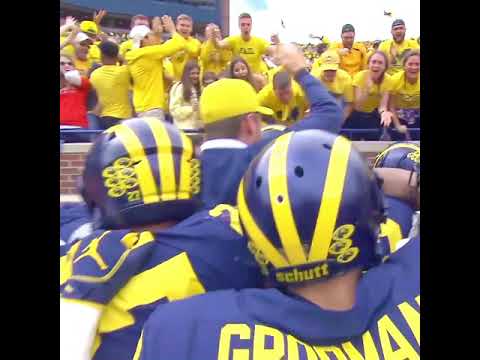 Stadium Shake university of michigan jobs