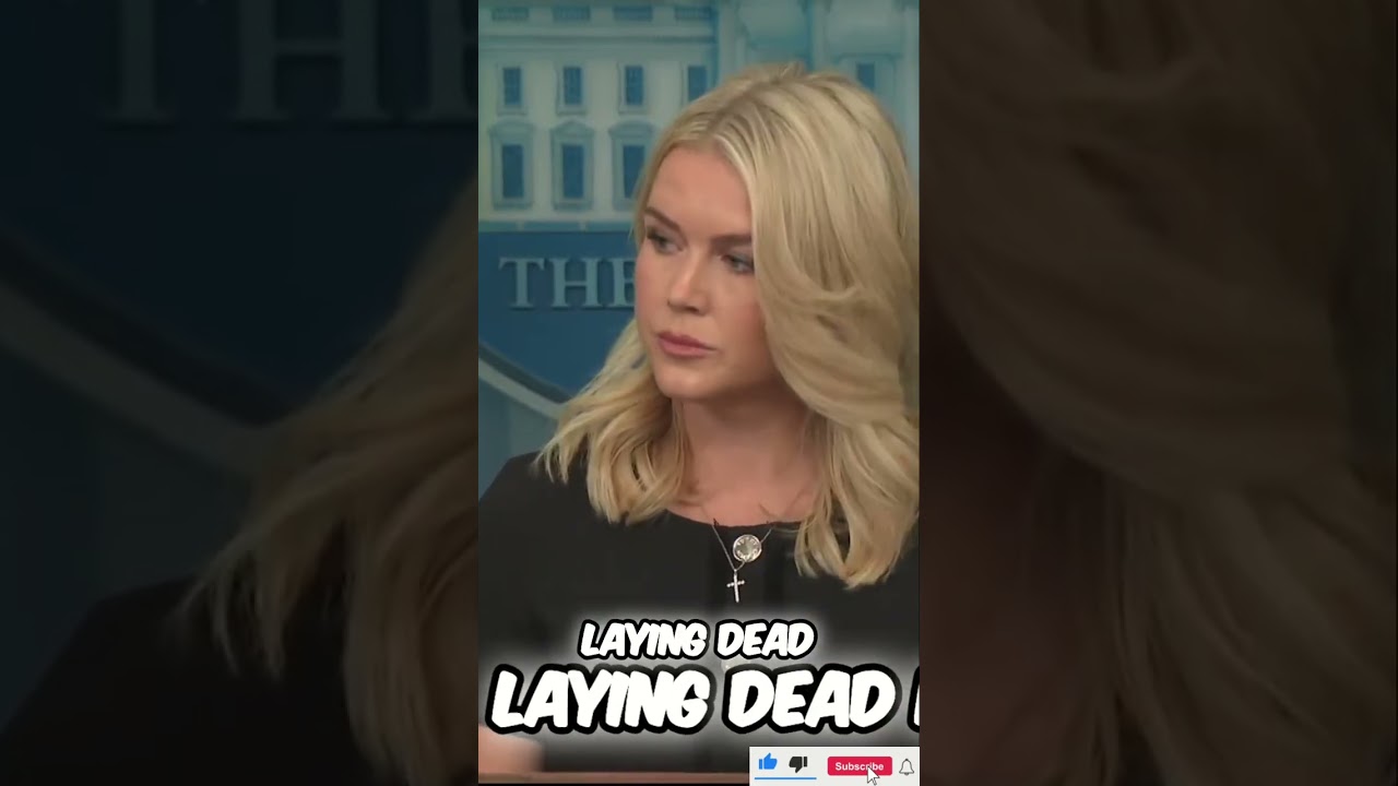 Chicago Crime Crisis: The White House's Response 