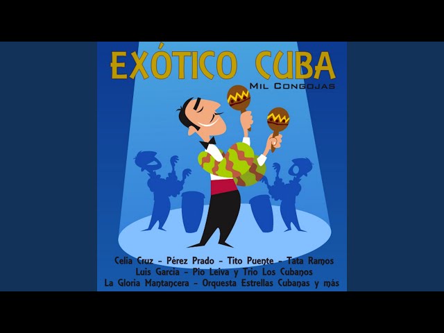 Cha Cha No. 5 - YouTube