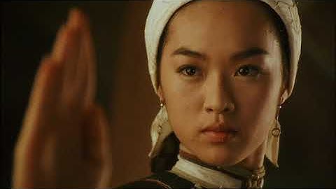 Jean Wang Fight Scene. Iron Monkey.