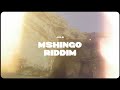 Juls Mshingo Riddim mp3