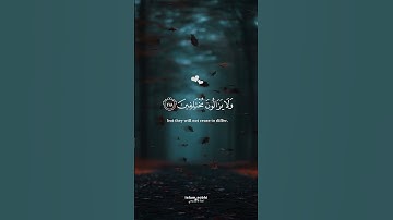 القران الكريم || اسلام صبحي #المصحف #quran #اسلام_صبحي