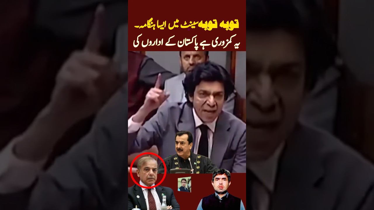 Such a commotion in Senate. This is the weakness of Pakistan's institutions 