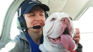 This Pilot Had A Canine Companion In The Cockpit, But He Was Actually On A Vital Rescue Mission