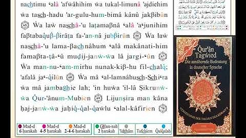 ختمة من مصحف التجويد باللغة الألمانية الصفحة رقم 444