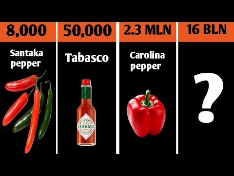 Comparison: Spiciest Things