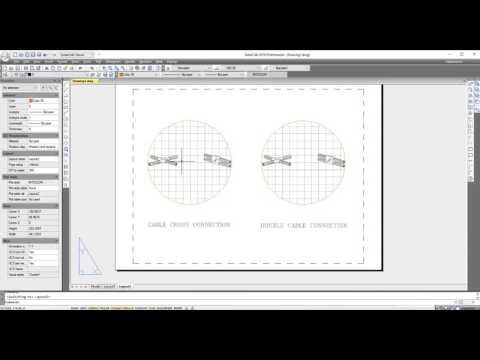 Scale  Viewport