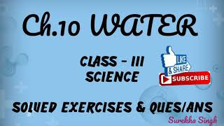 Celebrity Chapter 10 WATER // Solutions (Exercises/Question & Answers) Class 3, Science / EVS, DAV, CBSE Profile