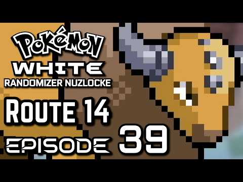 Pokémon White [NDS] - Randomizer Nuzlocke - Episode 39 - Route 14
