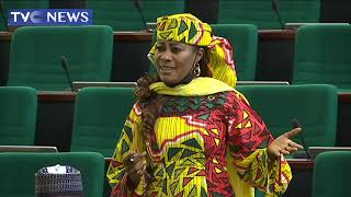 [WATCH] Lawmakers Decry Effects Of Crystal Meth On Crime Rate Among Nigerian Youths