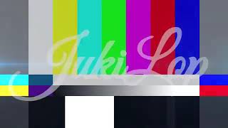 Conozcan La Mansión Del Grandes Sorpresa