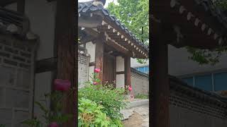 남산한옥마을 ㅣ모란이 있는 풍경 ㅣ신승태노래