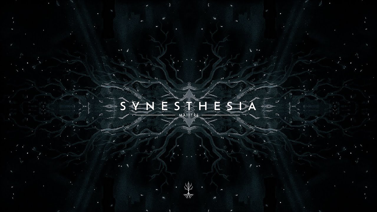 MAITTRE - Synesthesia
