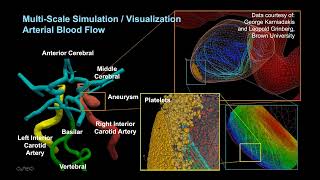 Famous ATPESC 2021 4.1 Data Analysis and Visualization  Mike Papka, Joseph Insley, Silvio Rizzi Net Worth