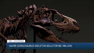 Dinosaur skeleton found in Montana sells for $6.1 million