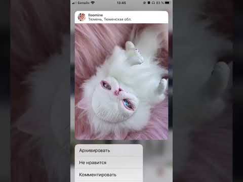 Я мама Пламфов Люмайн, познакомиться со мной и моими работами поближе можно в соц сетях @lloomine