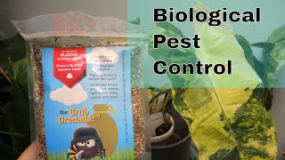 Grub Grenade - Biological Pest Control for Plants screenshot 4