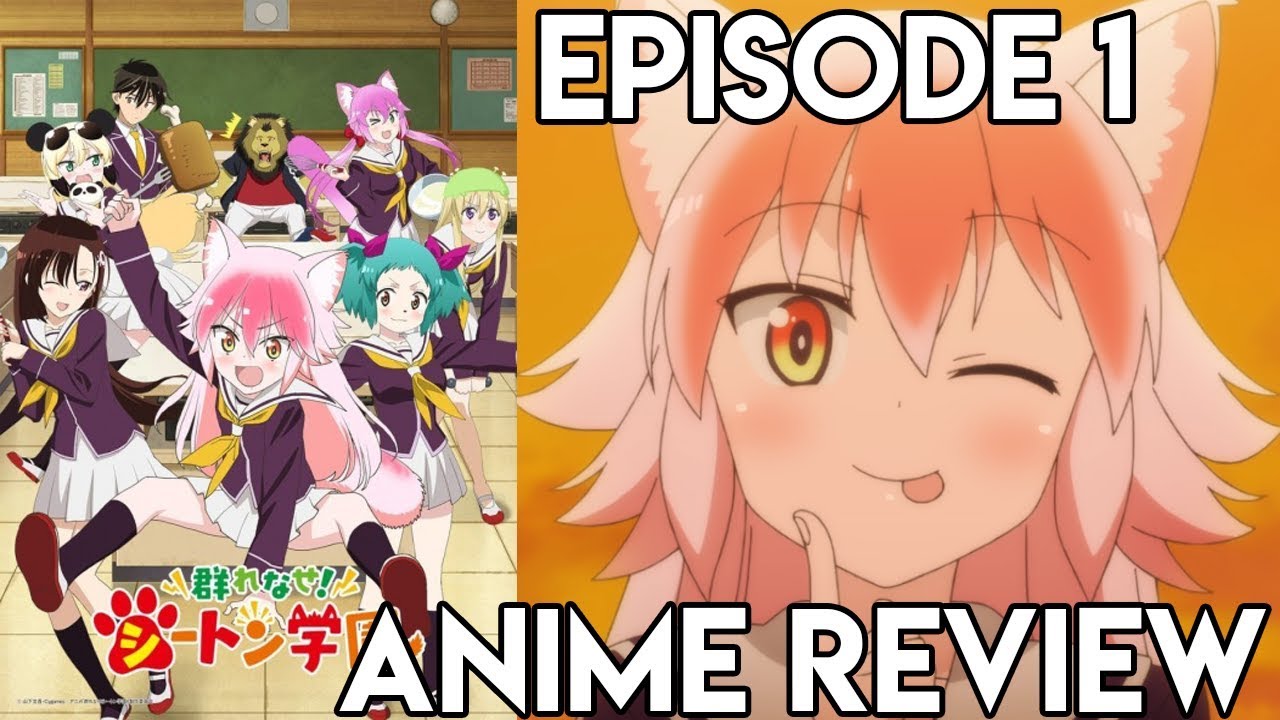 Seton Academy Join the Pack! Episode 1 Anime Review YouTube