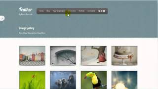 Feather WordPress Theme