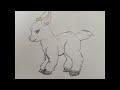animation d'un chevreau qui se couche pour faire dodo