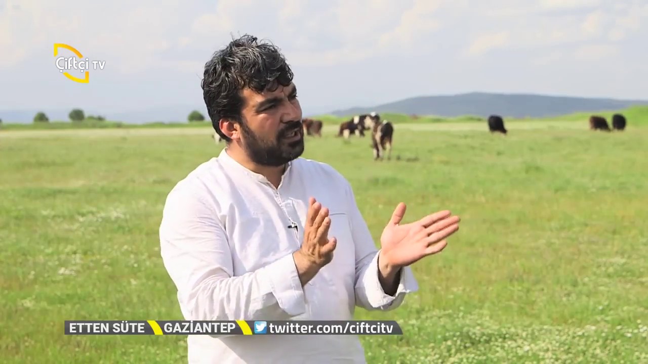 ÜLKEMİZDE OLMASI GEREKEN DAMIZLIK İŞLETMESİ NEDİR?