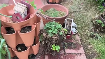 Tiny Tidy Tuesday/Open Collab/Cleaning Up Seating Area In Front Yard