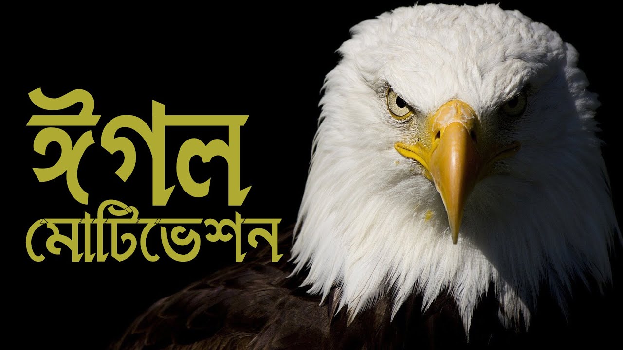 The Eagle Mentality • Best Motivational video in Bangla