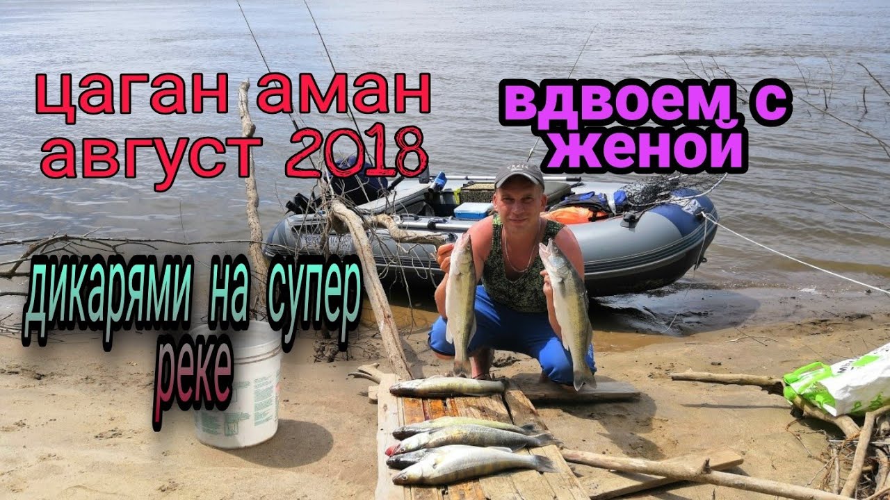 Цаган аман волга