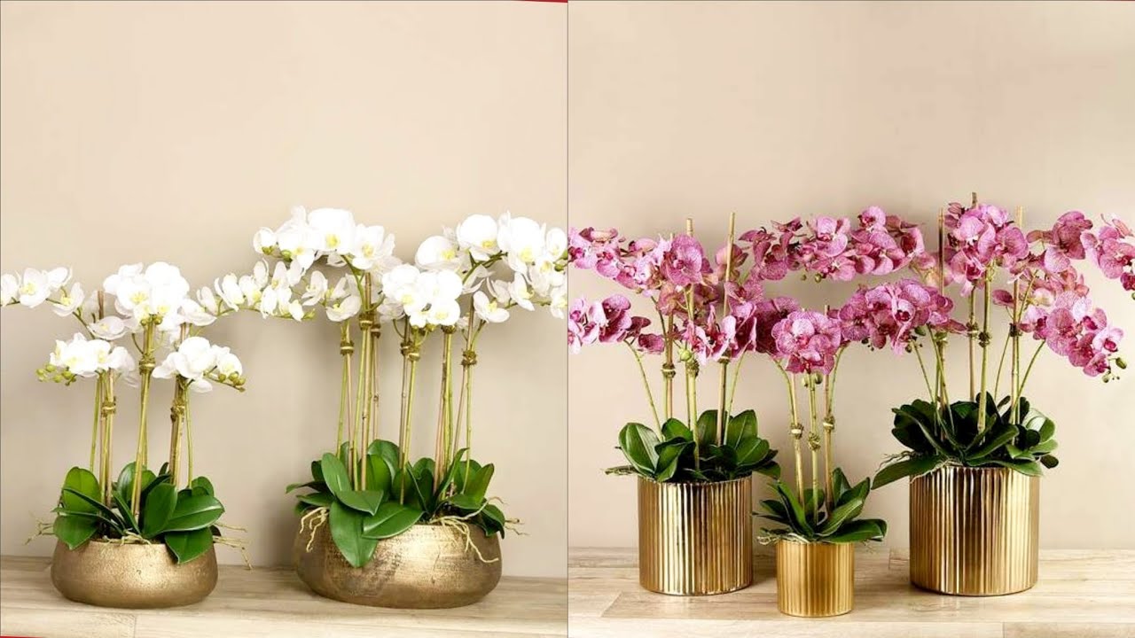Gorgeous frax flower arrangement and orchid flower decoration ideas, phalaenopsis flower arrangement