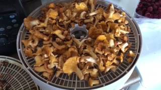 Супер антипаразитарка! Сможет сделать каждый Супер антипаразитарка! Сможет сделать каждый